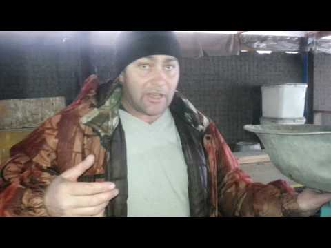 Видео: КОРМЛЕНИЕ БЕЗ ГРАНУЛ вес кроликов в 2-3 месяца.