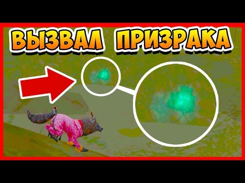 Видео: ПРИЗРАК в WILDCRAFT