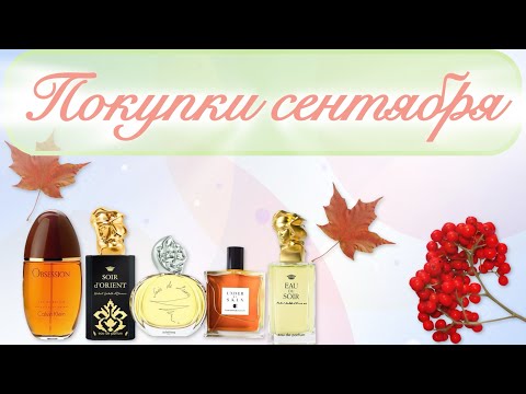 Видео: ВСЕ ПАРФЮМЕРНЫЕ ПОКУПКИ СЕНТЯБРЯ 🍂