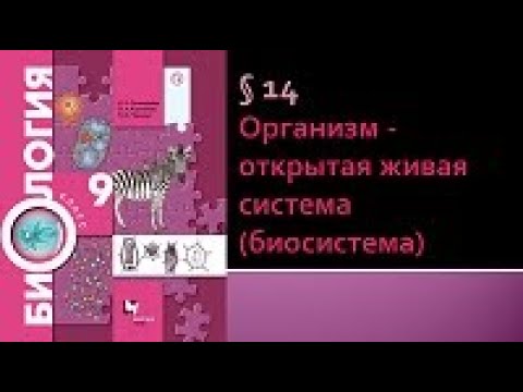 Видео: Биология 9 класс. Организм - открытая живая система (биосистема)