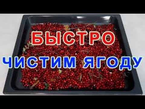 Видео: Как быстро перебрать ягоду от мусора дома