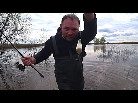 Видео: Эти БЛЁСНЫ любит ЩУКА! Рыбалка на спиннинг с берега! Спиннинг 2023!