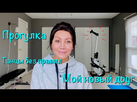 Видео: НЕ ПУГАЙТЕСЬ ! / НОВЫЙ ДРУГ / ТАНЦЫ БЕЗ ПРАВИЛ / МОЙ СПОРТЗАЛ / ВИДЕО ЗАГАДКА / ЧТО ЗА ДЕРЕВО