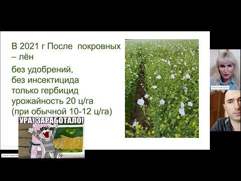 Видео: Пример успешного применения почвопокровных культур. Ольга Леонидовна Кибалюк (Томашова) ч. 1.