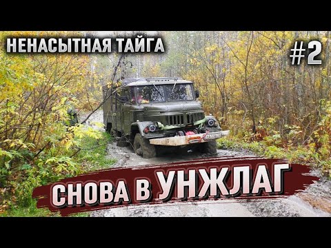 Видео: УНЖЛАГ поглощенный ТАЙГОЙ. ЭКСПЕДИЦИЯ на внедорожниках по дорогам УНЖЛАГА. Бездорожье Тайга 2020.