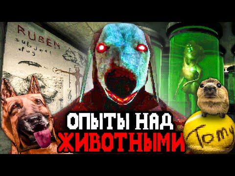 Видео: В ЭТОЙ КЛИНИКЕ ПРОВОДЯТ ОПЫТЫ НАД ЖИВОТНЫМИ И ЛЮДЬМИ 🐕 - Canine