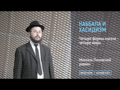 Видео: Четыре формы жизни - четыре мира.