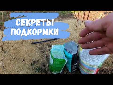 Видео: Секреты подкормки голубики