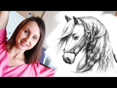 Видео: Как нарисовать лошадь карандашом поэтапно для начинающих.