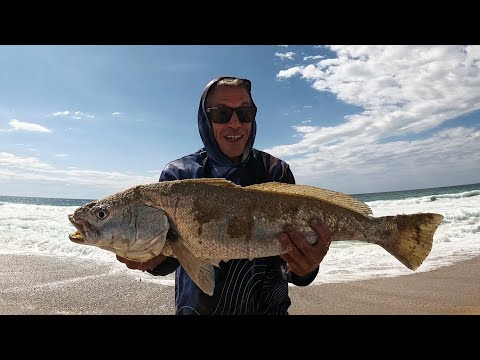 Видео: Рыбалка на пляже Маллоуэй Рай (Поймай и приготовь)