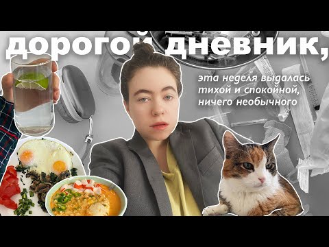 Видео: дорогой дневник | тихие будни и рутина