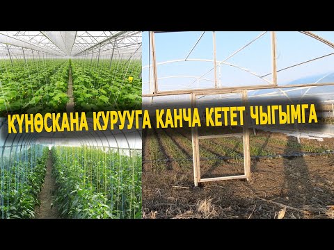 Видео: Күнөскана ЧЫГЫМЫ || Темир , УСТА акы БААЛАРЫ