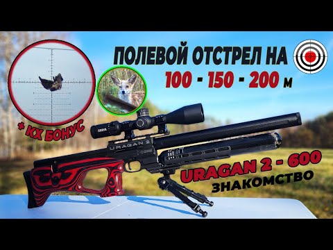 Видео: Air Rifle AGT Uragan 2 600 \ Обзор-Отстрел на 100-150-200 m + КХ Бонус