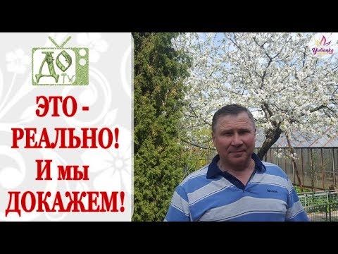 Видео: ИСТОРИЯ ПРИВИВОК на ПЛОДОВЫЕ ДЕРЕВЬЯ / Развеиваем МИФЫ