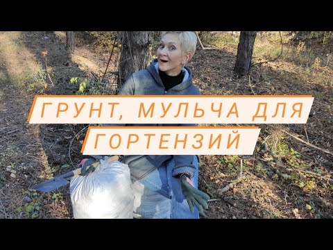 Видео: Как сэкономить на грунте для гортензий 🌲🌲🌲