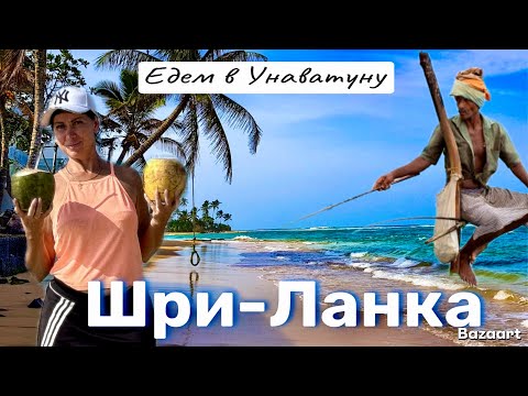 Видео: Шри-Ланка 2025. Едем в Унаватуну. Вырубленные Ванны, протезы для Черепах. Пляж Джангл Бич. Цены.