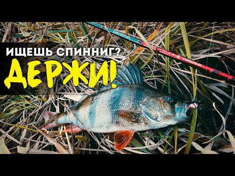 Видео: 😊НЕ НУЖНО ПРЯТАТЬ от ЖЕНЫ! - Спиннинг Daiwa Ninja Z - Обзор Моего лучшего бюджетника для микроджига