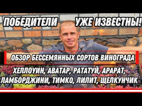 Видео: Лучшие новинки бессемянного винограда 2021года. 10 Победителей уже известны!