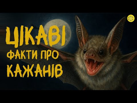 Видео: КАЖАНИ: Що ВИ могли НЕ ЗНАТИ? | Чому кажани важливі для людей? | Цікаві ФАКТИ