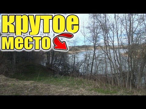 Видео: В старом урочище Мы были удивлены этим крутым находкам.Коп старины с металлоискателем.