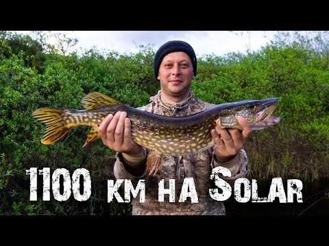 Видео: 1100 км. по рекам НАО на лодке Солар 520 (ч.1) | Рыбалка на спиннинг | Щука с овощами на воке.