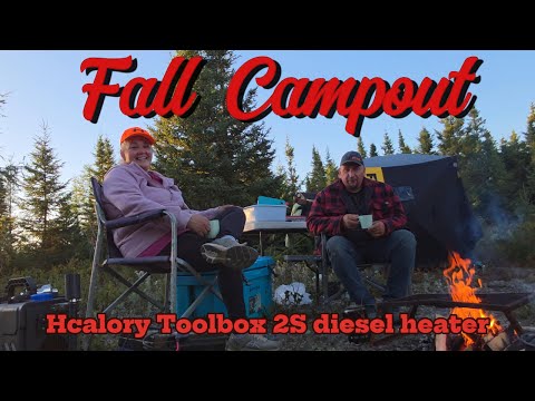 Видео: Ты, я, собака и чудесная ночь в лесу #ньюфаундлендлабрадор #жизньбезсетки #калорийность