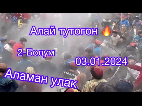 Видео: 2-Болум Алай, Аламан улак🇰🇬🔥⚜️✅