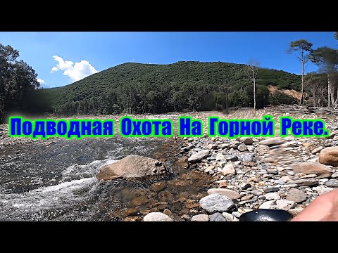 Видео: Подводная охота на горной реке.\\ Underwater hunting on a mountain river.
