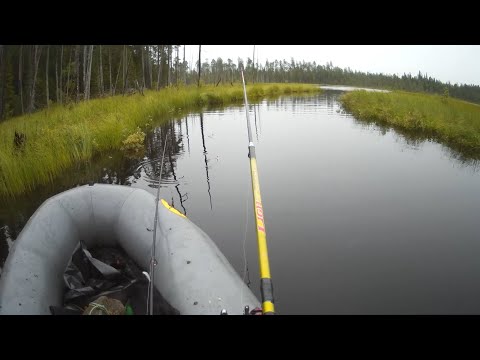 Видео: Рыбалка на любимой ламбушке.