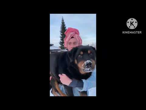 Видео: НЕ МОГУ ОЧЕНЬ ХОЧЕТСЯ! На Разных Эффектах.