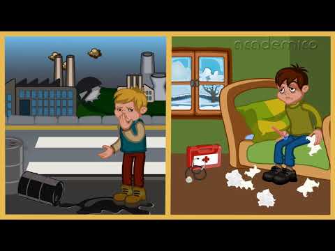 Видео: Органи на дишането - Човекът и природата 3 клас | academico