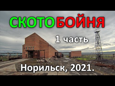 Видео: Заброшенная Скотобойня. 1 часть из 4-х. Норильск (2021).