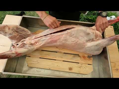 Видео: Ягненок в глиняной печи на дровах