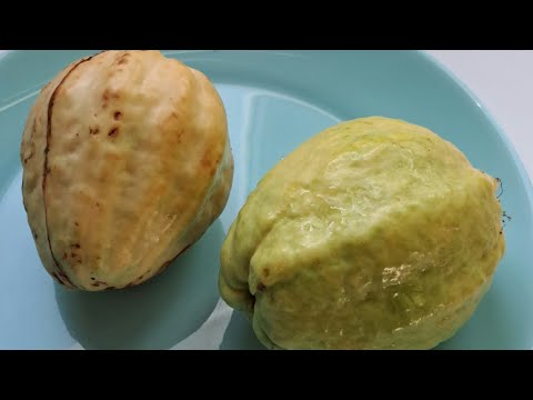 Видео: Белая Гуава - White Guava. 