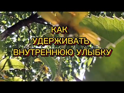 Видео: КАК УДЕРЖИВАТЬ ВНУТРЕННЮЮ УЛЫБКУ(Осенние поэтические прогулки. День 4)