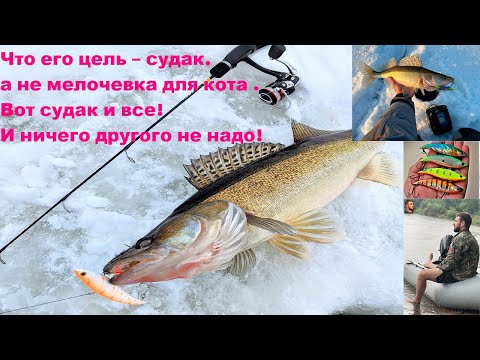 Видео: ХОЧУ СУДАКА. Обзор  моего набора на судака.