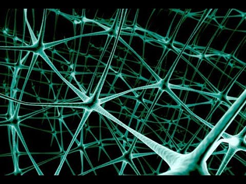 Видео: Нейронные сети. Введение