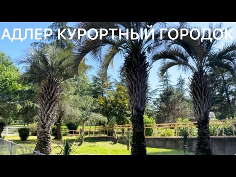 Видео: АДЛЕР 2024 КУРОРТНЫЙ ГОРОДОК! ПЛЯЖ ПРИЧАЛ. БАССЕЙН.