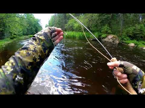 Видео: KOLA SALMON SHOOTING EXPERT M1 Тест на реке...