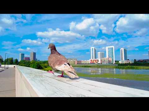 Видео: Walking in YEkaterinburg. Уктусская набережная реки Исеть |4K| (July 10, 2025)