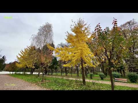 Видео: Ужгород, рiк тому у осенi 2024 року! 4K