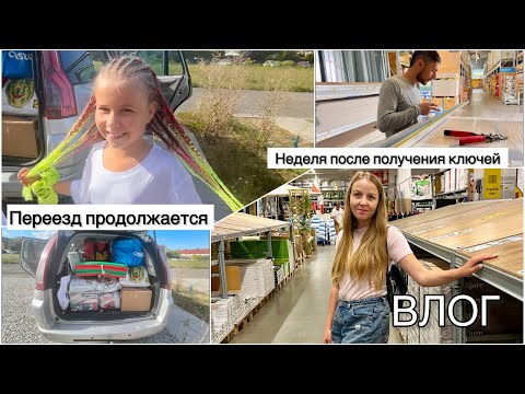 Видео: Подключили свет, ищем унитаз, диван за 0 злотых (Часть 4)