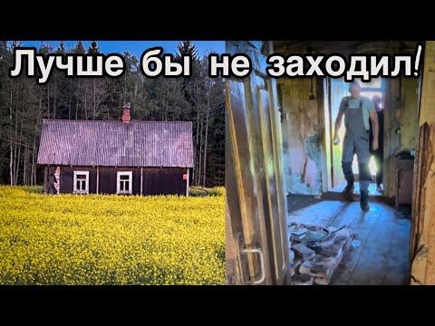 Видео: Неожиданная встреча в заброшенном доме. Знал бы - не заходил!