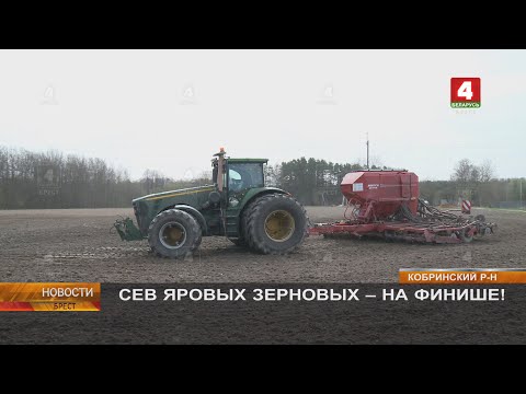 Видео: СЕВ ЯРОВЫХ ЗЕРНОВЫХ - НА ФИНИШЕ!