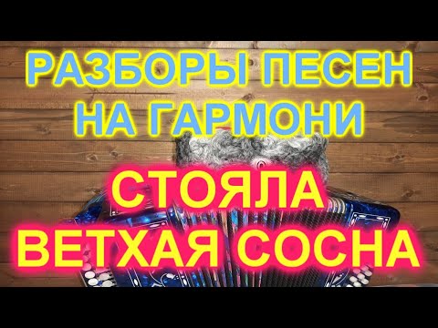 Видео: РАЗБОРЫ! Под гармонь! Стояла ветхая сосна!