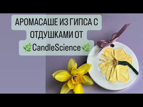 Видео: МАСТЕР КЛАСС | АРОМАСАШЕ ИЗ ГИПСА | С ОТДУШКАМИ ОТ CandleScience