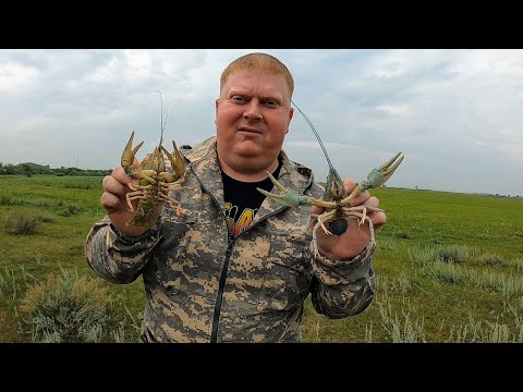 Видео: НА ТАКОЙ РЫБАЛКЕ Я ЕЩЁ НЕ БЫВАЛ!!! Ловим Раков на Раколовки!!! Прикормка из чеснока творит чудеса!!!