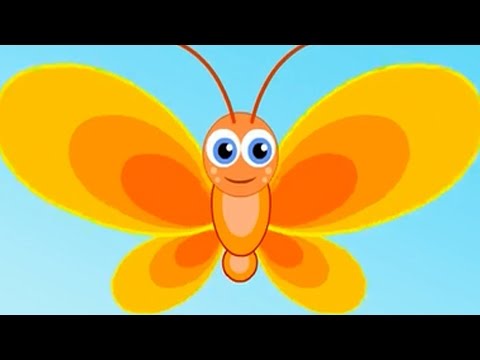 Видео: Эрвээхэй | Хүүхдийн Дуу | Erveehei | Huuhdiin Duu | Mongolian Butterfly Song