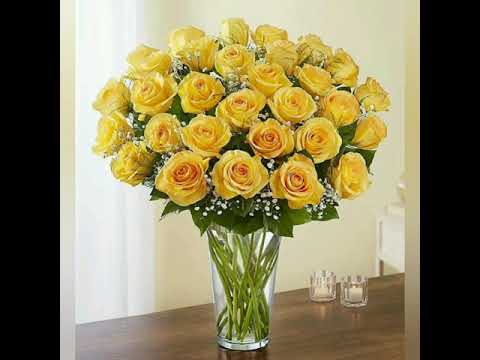 Видео: Характеристика человека рождённого 31 мая