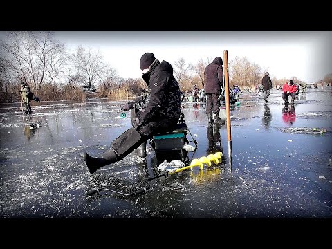 Видео: Попер Крупняк !!! Просто Кабани якісь !!!